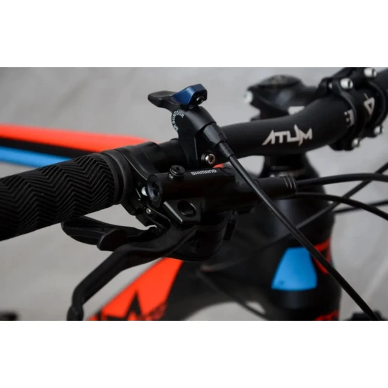 Atum Evo 29-Speed Mountain Bike [WS]