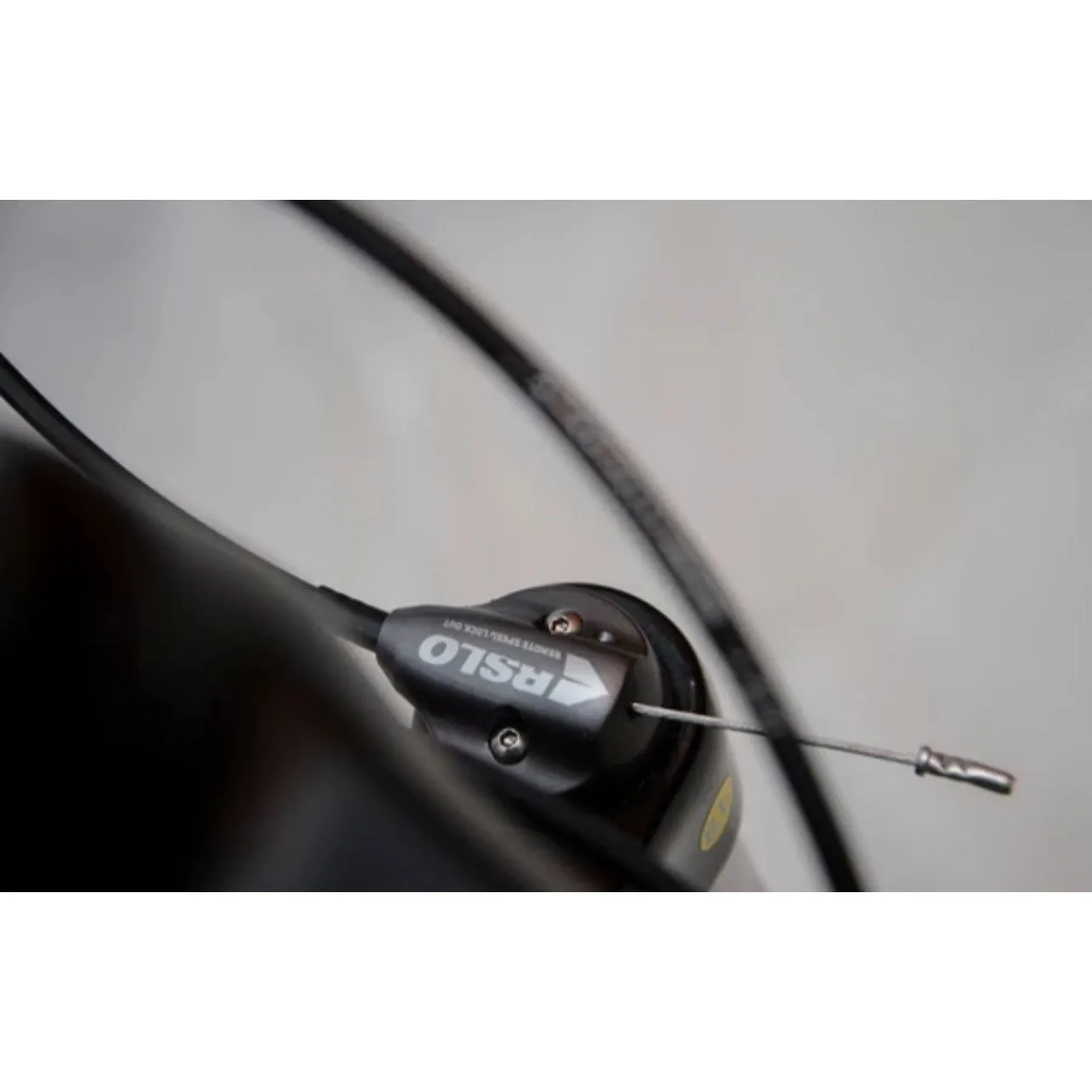 Atum Evo 29-Speed Mountain Bike [WS]