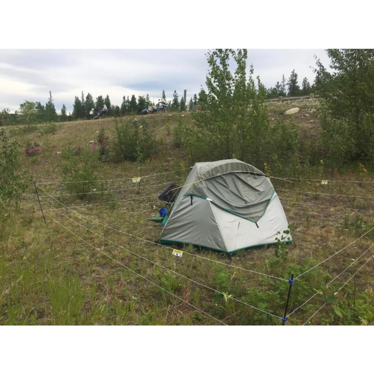 Backcountry (2.4 lbs)