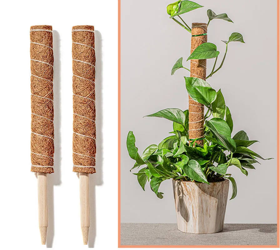 Coconut Liner Moss Rod for Climbing Plants 50cm 4 Pack