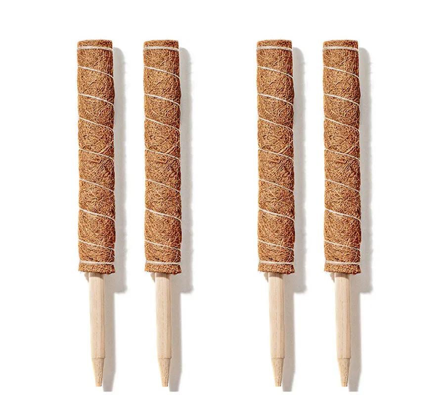 Coconut Liner Moss Rod for Climbing Plants 50cm 4 Pack