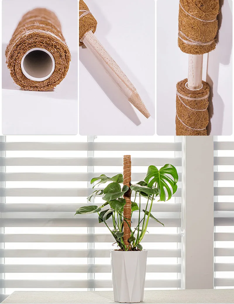 Coconut Liner Moss Rod for Climbing Plants 50cm 4 Pack
