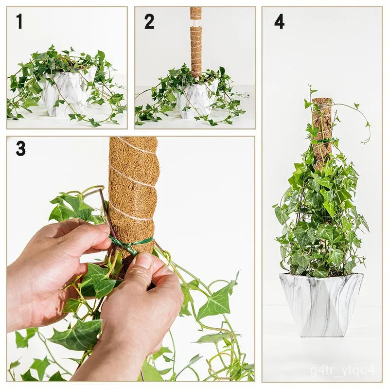 Coconut Liner Moss Rod for Climbing Plants 50cm 4 Pack