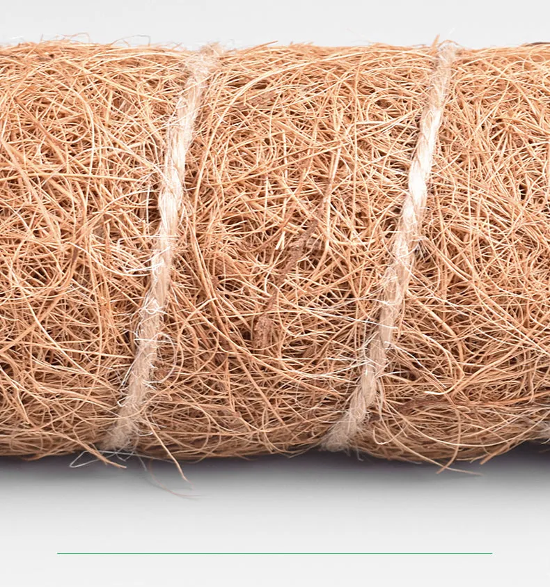 Coconut Liner Moss Rod for Climbing Plants 50cm 4 Pack