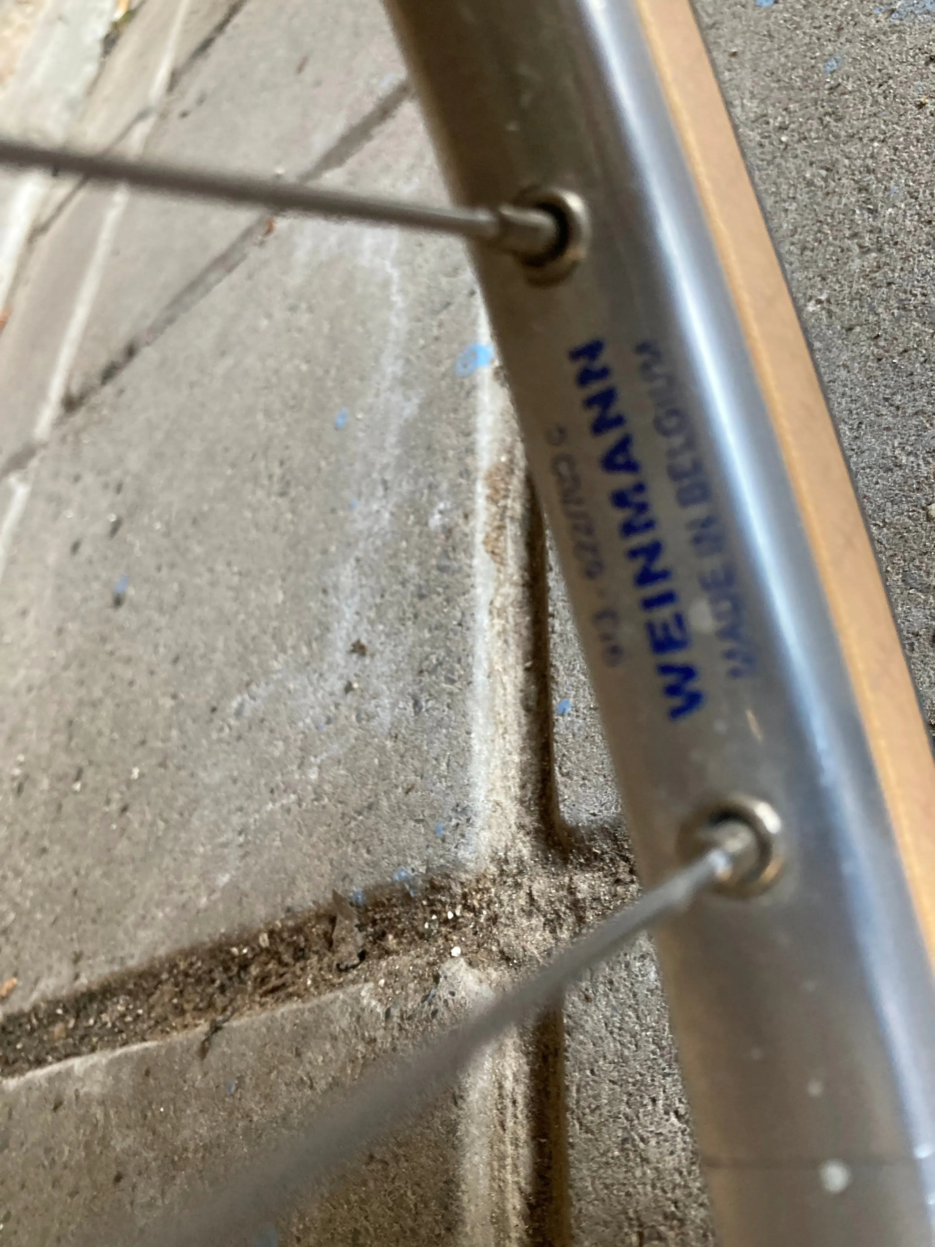 Gazelle Champion Mondial A frame 59cm