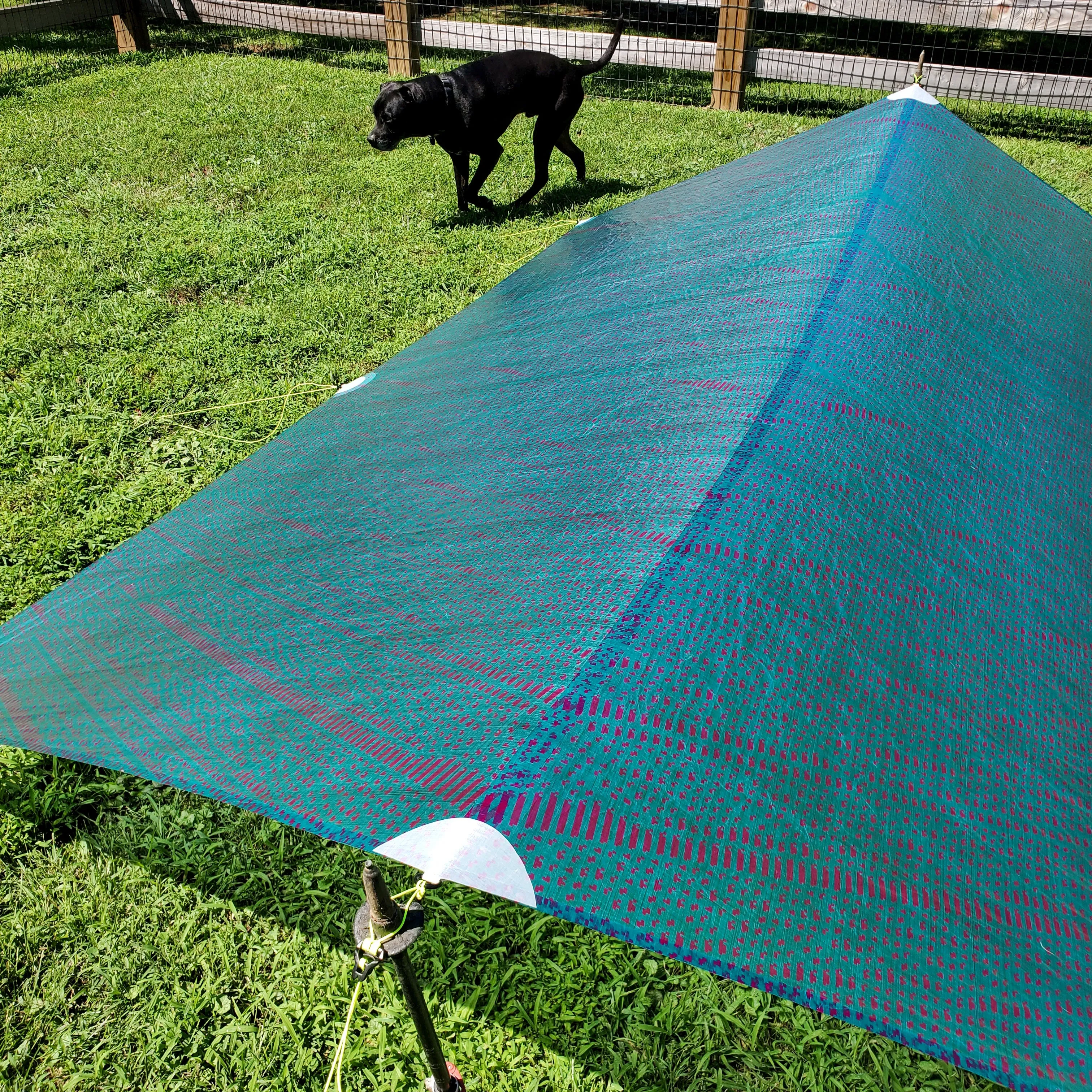Ultralight Catenary Curve Tarp