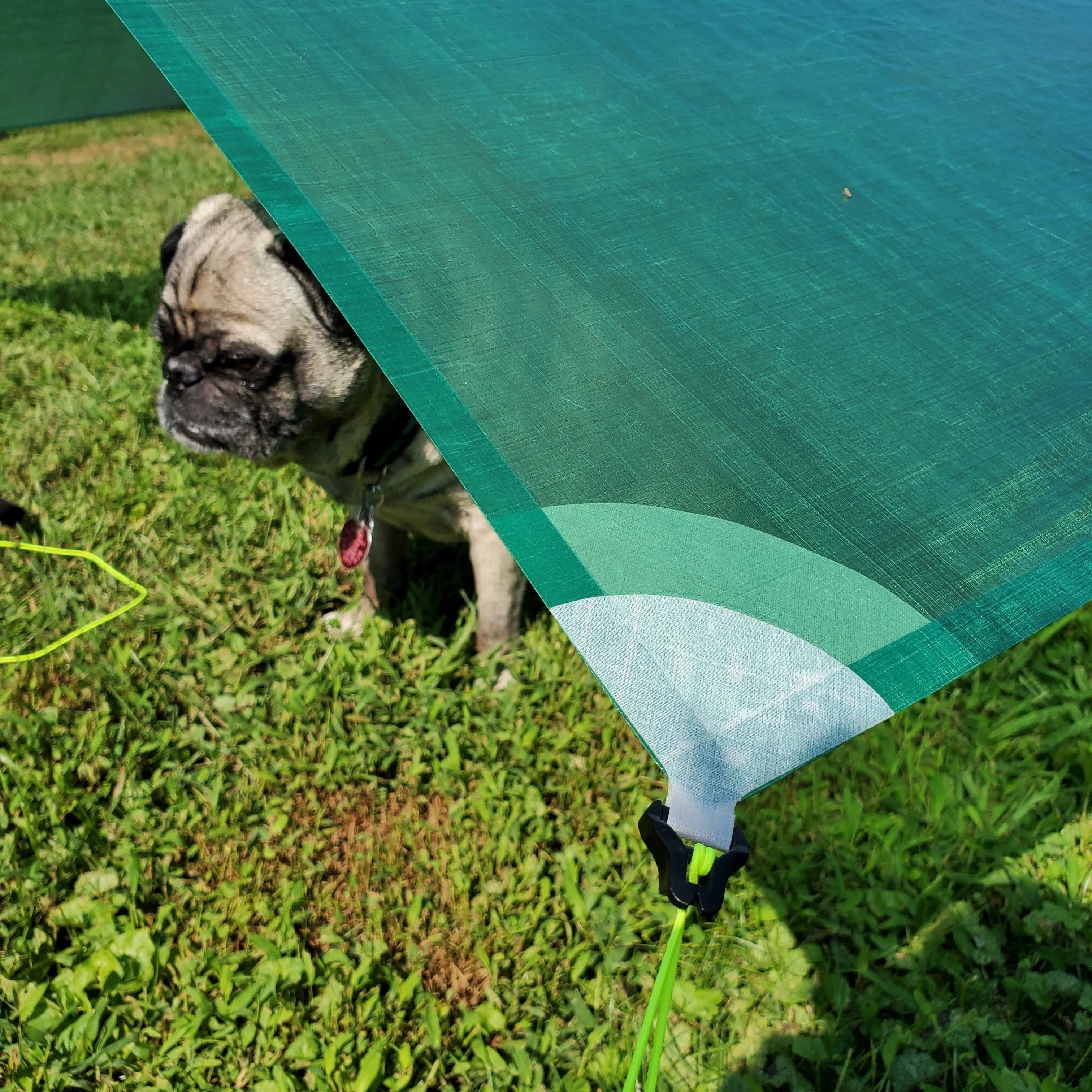 Ultralight Catenary Curve Tarp