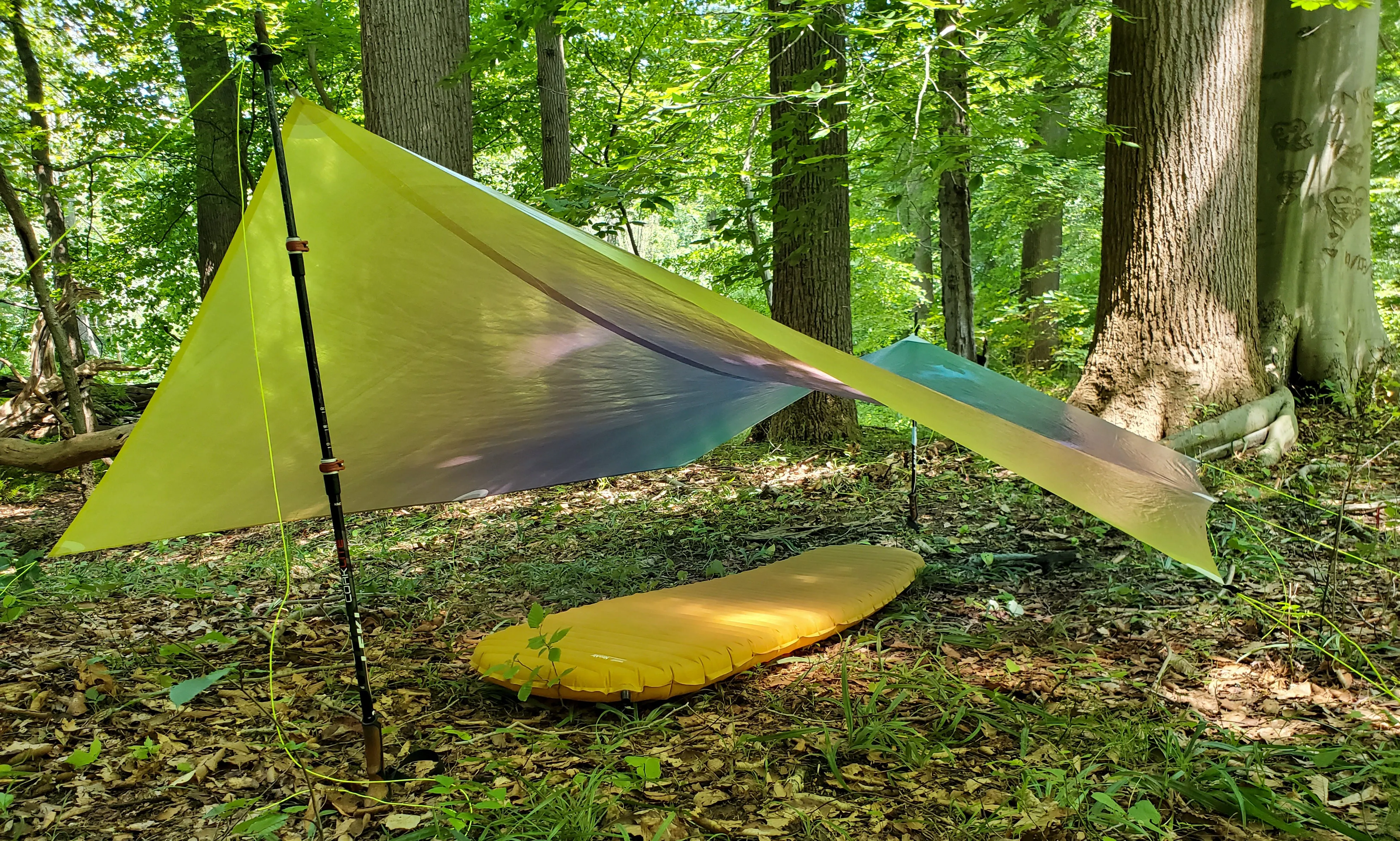 Ultralight Catenary Curve Tarp