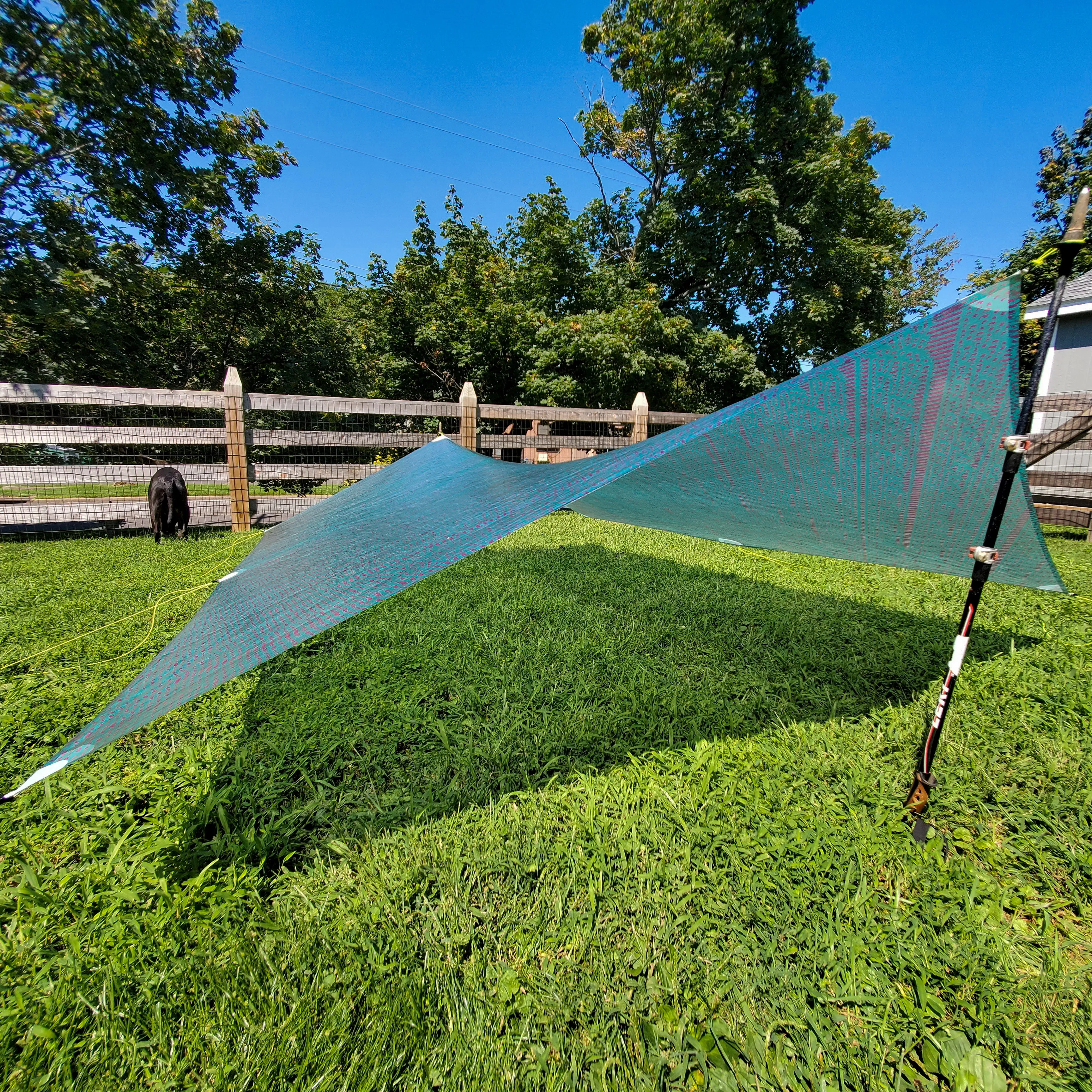 Ultralight Catenary Curve Tarp