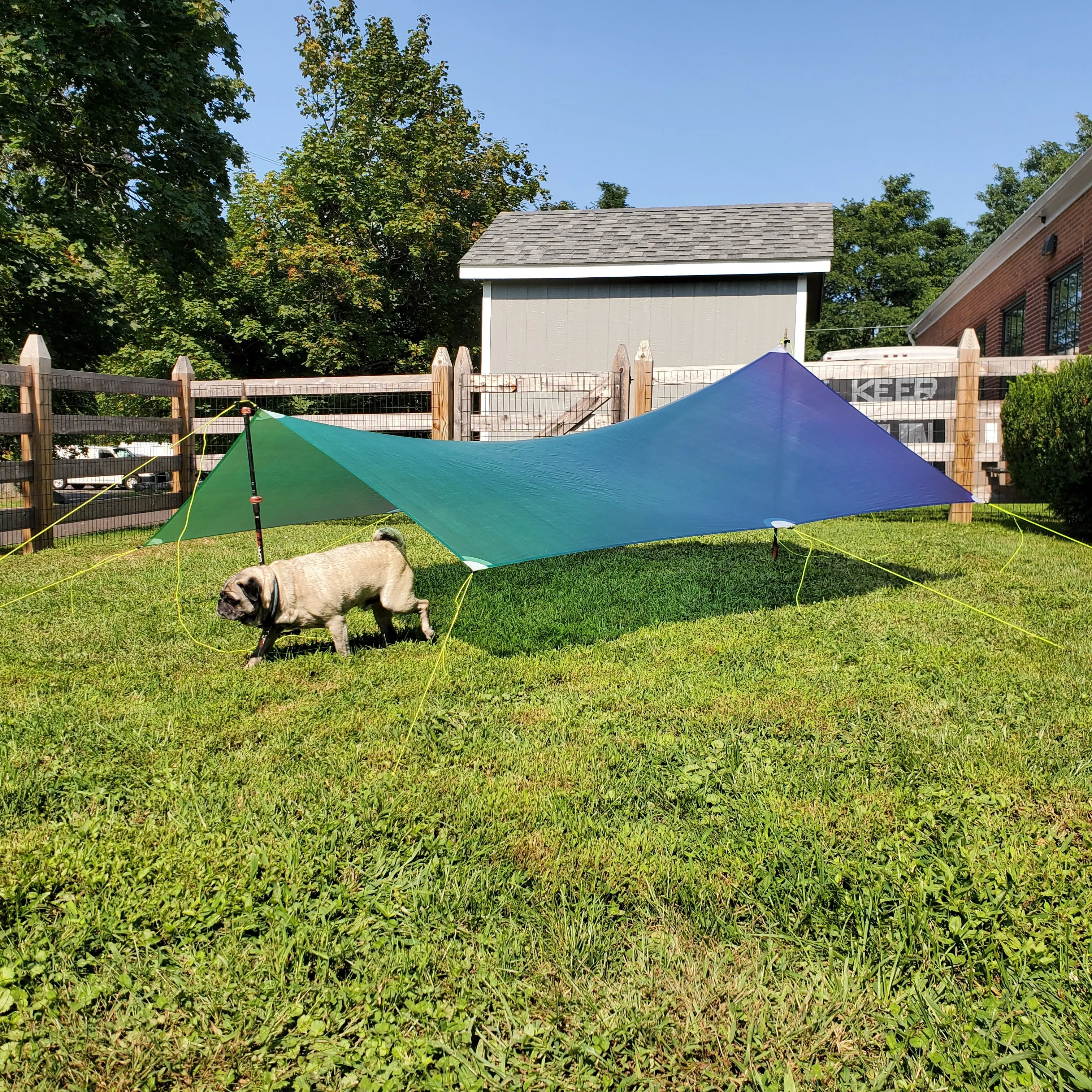 Ultralight Catenary Curve Tarp