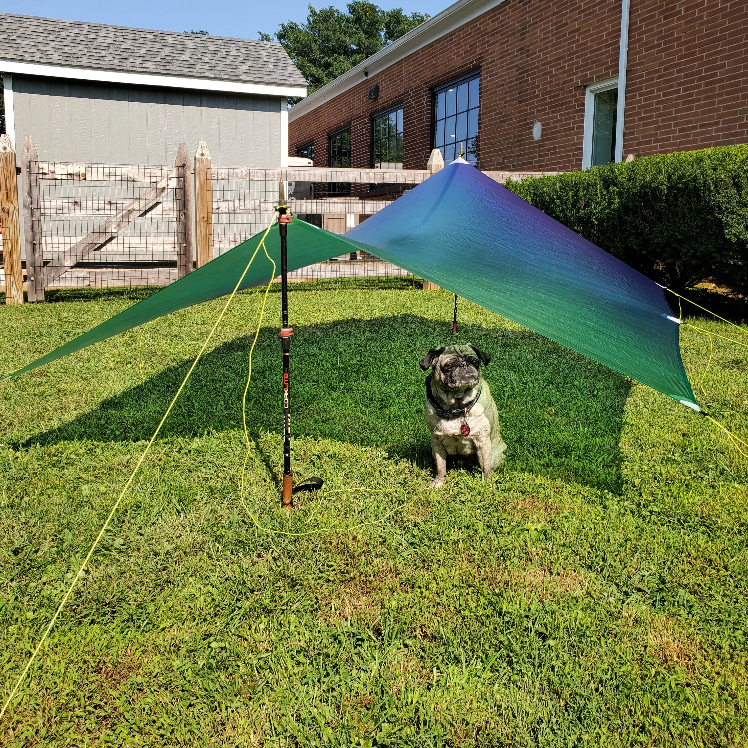 Ultralight Catenary Curve Tarp