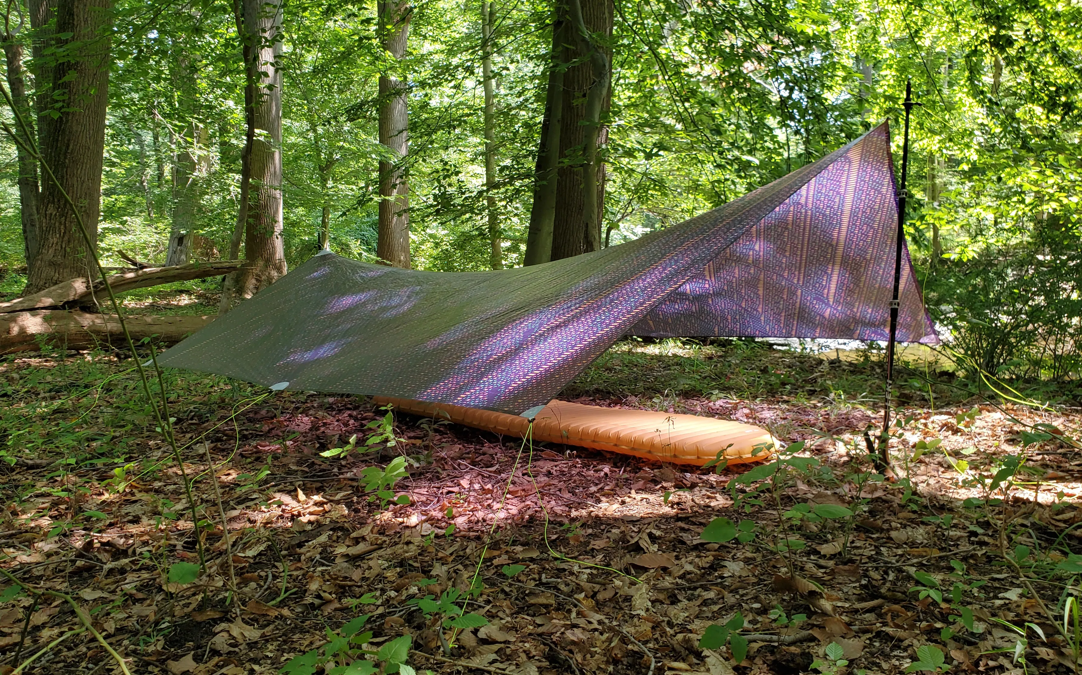 Ultralight Catenary Curve Tarp