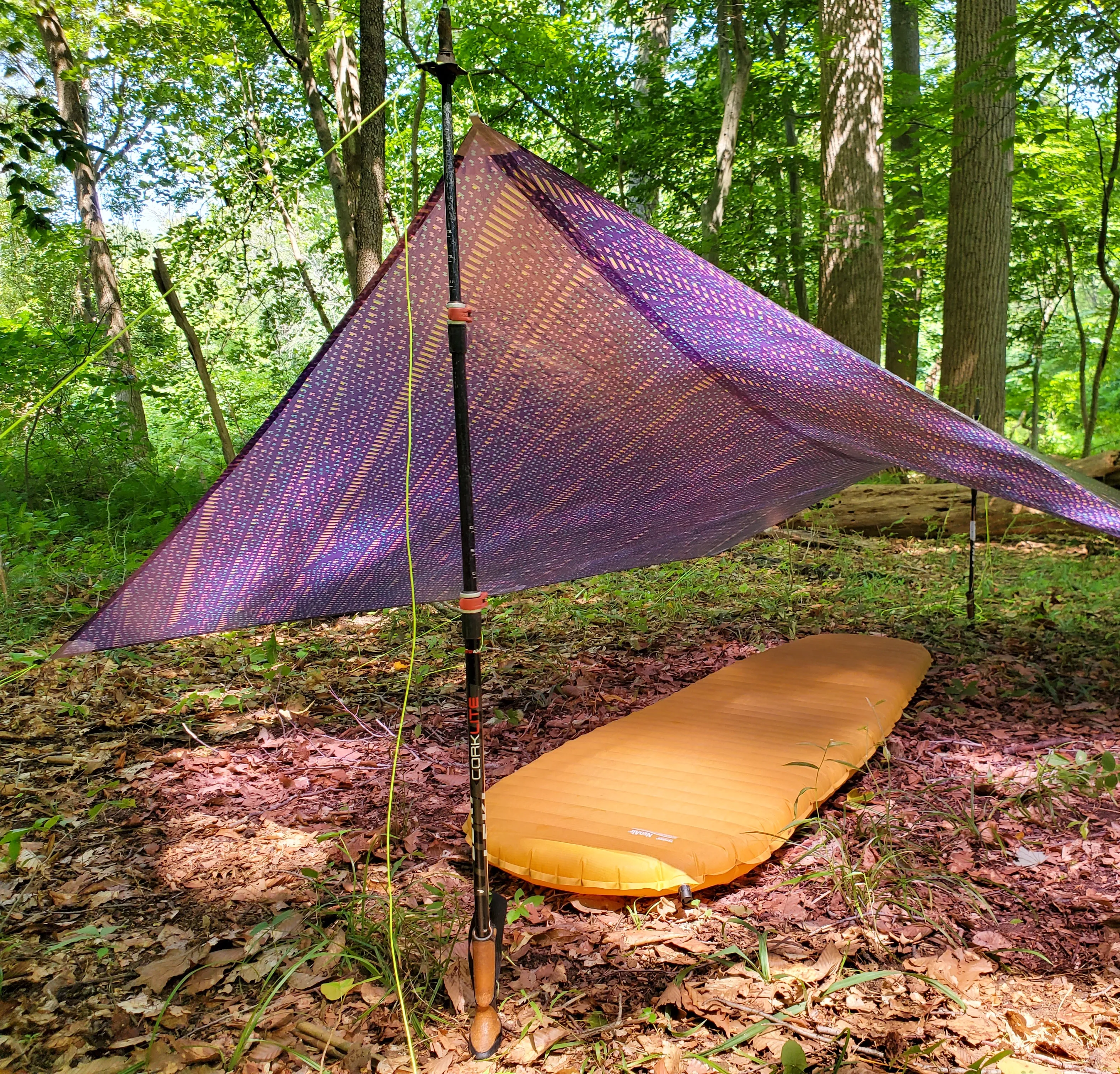 Ultralight Catenary Curve Tarp